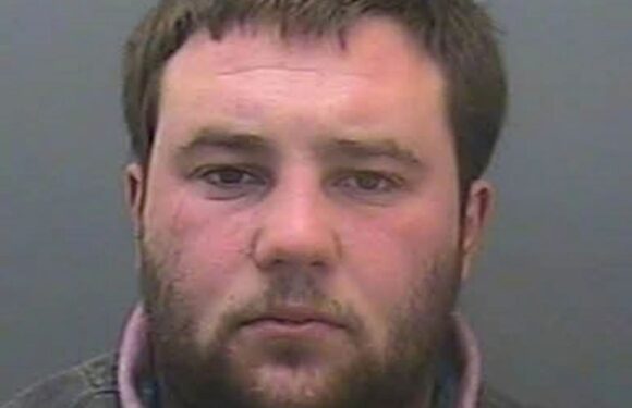 Farmer who raped a woman after she gave him a lift home was jailed for eight years | The Sun
