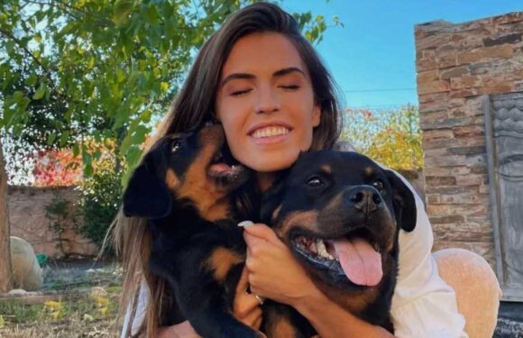 Former Big Brother winner Sofia Suescun left with horror face injuries after being savaged by her pet Rottweiler | The Sun
