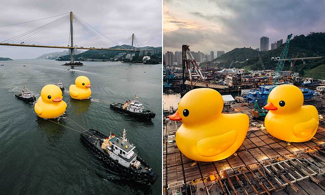 It's good to be quack! Giant rubber duck returns to Hong Kong harbour