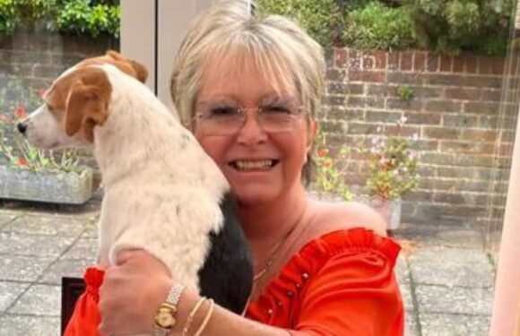 Monster who stabbed Tommy Cooper’s niece to death in 'senseless' attack before leaving body in pool of blood is jailed | The Sun