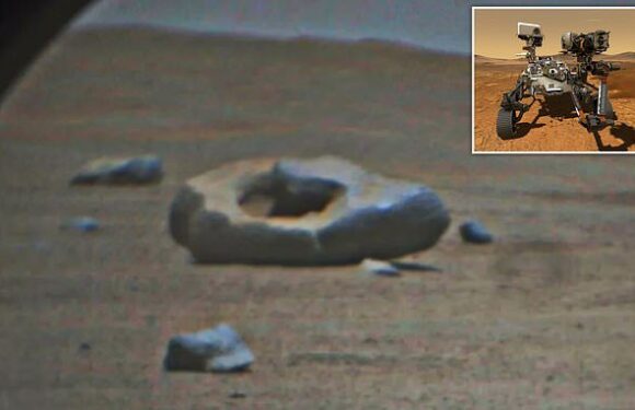 NASA's Perseverance rover spots a bizarre DONUT-shaped rock on Mars