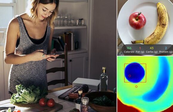 New app can calculate calories in any food just by taking a photo!