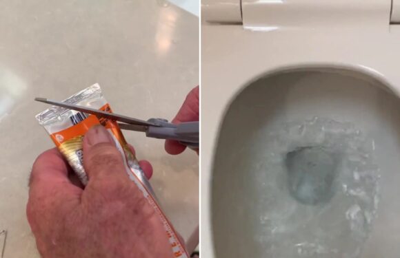 Plumbers react in horror to woman’s 4p loo cleaning ‘hack’ – saying she could be wrecking the pipes for good | The Sun