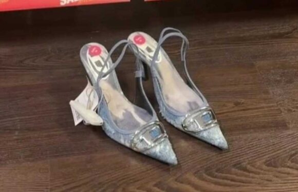 Shoppers run to TK Maxx as fashion fan nabs sold out designer heels for 90% less – but some warn it could be a mistake | The Sun