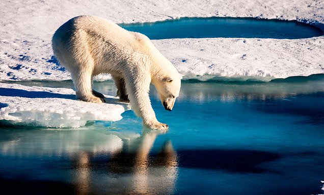 Summers in the Arctic could be ice-FREE in just 10 years, study warns
