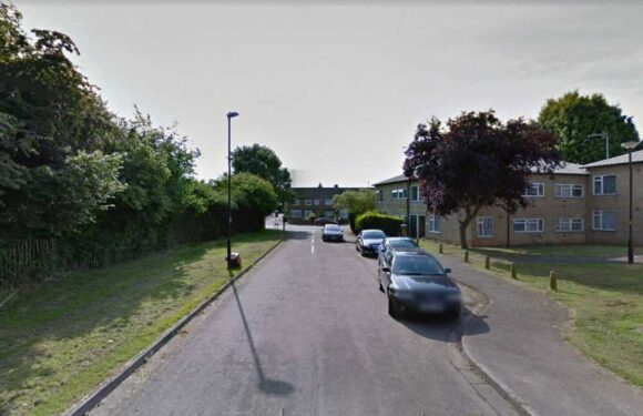 Teen boy, 16, and woman, 43, arrested on suspicion of murder after body of man, 74, found at Coventry home | The Sun
