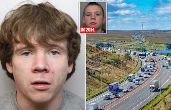 Thug who killed man in crash while on 'hippy crack' is jailed