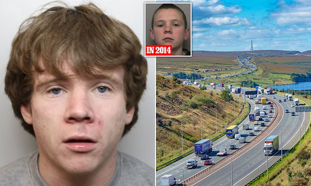 Thug who killed man in crash while on 'hippy crack' is jailed