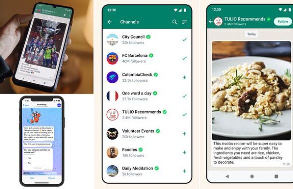WhatsApp's Channels feature makes it easier to message large audiences