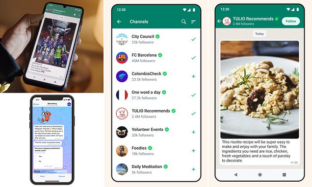 WhatsApp's Channels feature makes it easier to message large audiences
