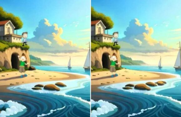 You could be a genius if you can spot the three differences in these cartoons in less than 20 seconds | The Sun