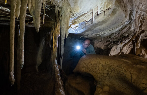 A Fossil Dream as Big as Texas