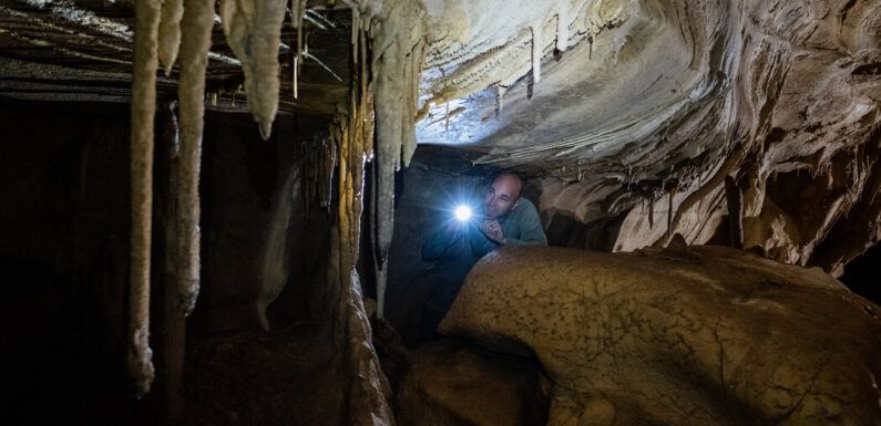 A Fossil Dream as Big as Texas