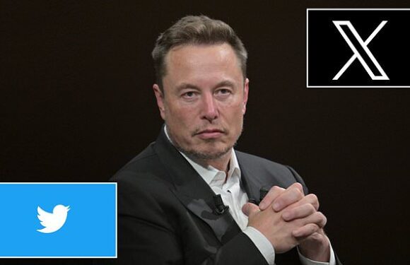As Elon Musk rebrands Twitter to X, experts deliver their verdict