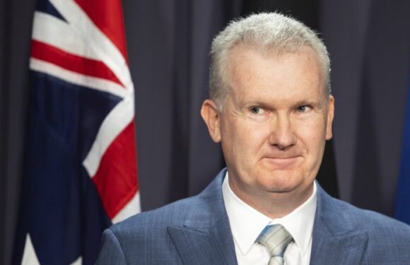 Australia news LIVE: Labor touts new plan to help casual workers become permanent; inflation tipped to fall to lowest level since 2021