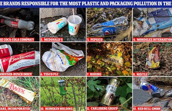 Brands responsible for the most plastic pollution in the UK, revealed