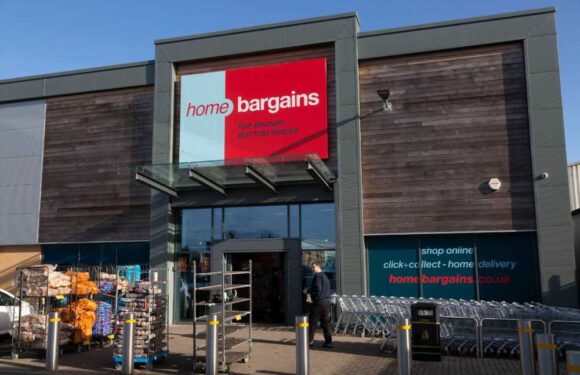 Cleaning fans rush to Home Bargains to nab the 'best' spray which makes your home smell ‘nice and fresh’ & it's only 99p | The Sun