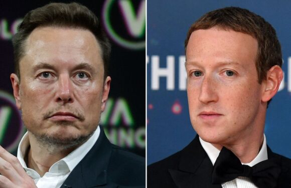 Elon Musk calls Mark Zuckerberg ‘cuck’ and wants to compare penises with rival