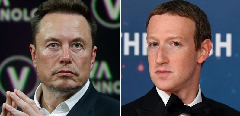 Elon Musk calls Mark Zuckerberg ‘cuck’ and wants to compare penises with rival