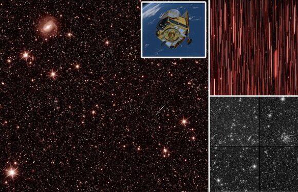 Euclid space telescope beams back first images of distant galaxies