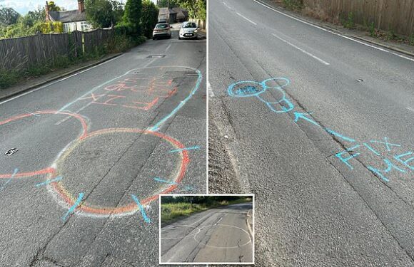 Hunt for mystery vigilante daubing giant penises on potholes