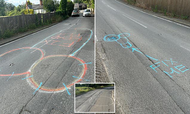 Hunt for mystery vigilante daubing giant penises on potholes