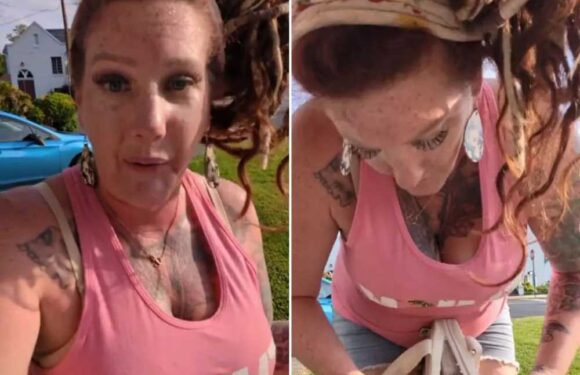 I dragged a locked bag out the tip and found the weirdest cooking item – and they aren’t cheap | The Sun