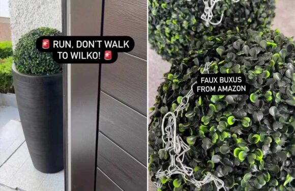 I instantly upgraded my front garden with a bargain buy from Wilko and a lick of paint – now it looks SO posh | The Sun