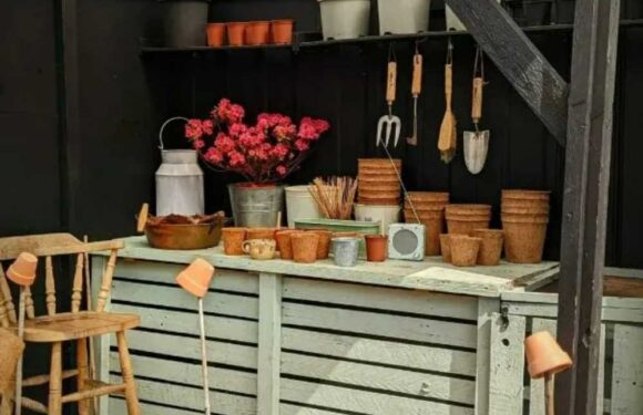 I transformed my old shed that was fit for the skip using old doors – it looks so posh now and I did it all on a budget | The Sun