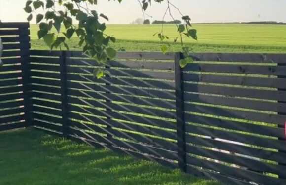 I was quoted over £10k for my council house privacy fence – I did it myself and swear by a £15 B&Q buy, it looks great | The Sun