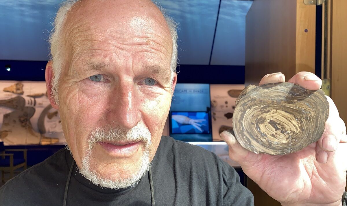 Incredible 150-million-year-old ‘stomach stone’ found near seaside village