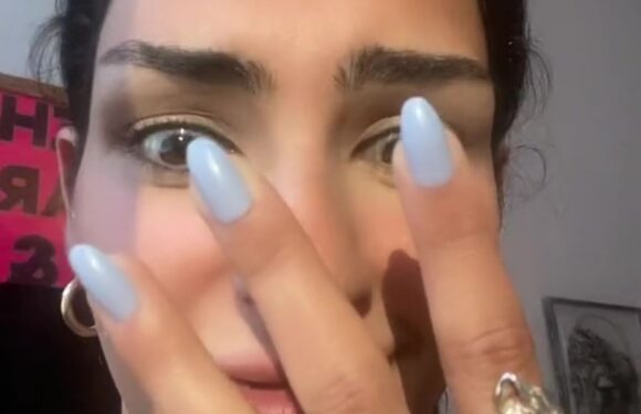 I’ve got cat paws for hands – but you’d never know thanks to my clever catfishing trick, I’ve got the dream manicure | The Sun