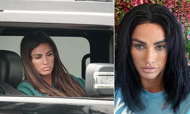 Katie Price driving 'untaxed vehicle' after getting licence back