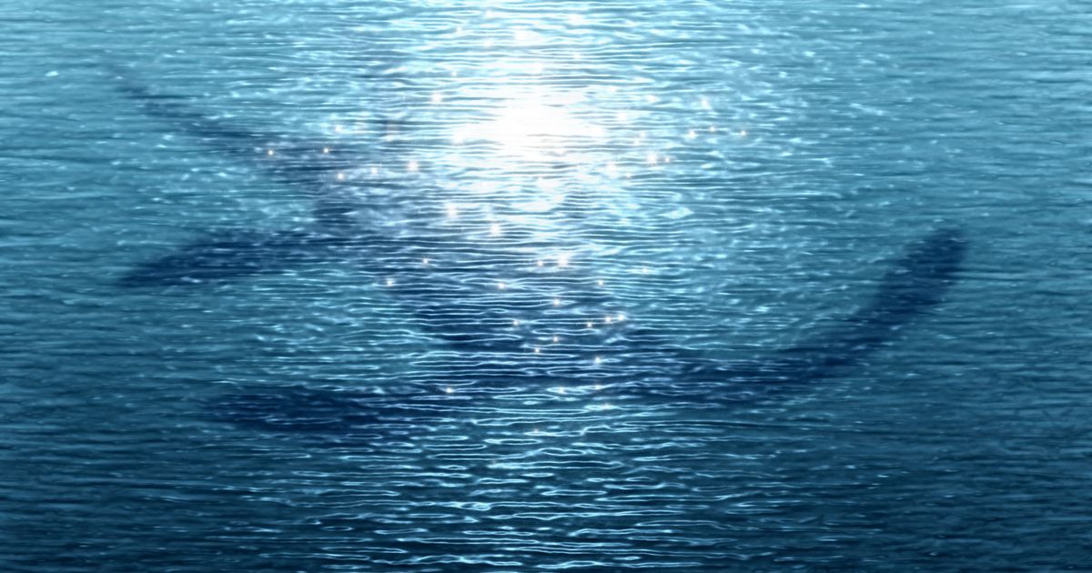 Loch Ness Monster ‘seen stalking boat’ as clip shows shape stirring underwater