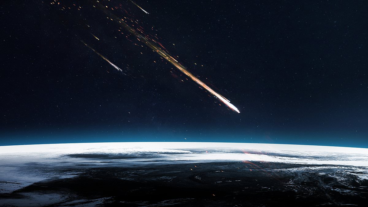 'Meteorite' that hit a French woman was a regular Earth rock – experts