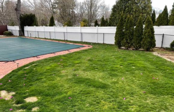 My neighbours have a huge privacy fence but still trashed MY garden for a gender reveal – I couldn’t even let my dog out | The Sun