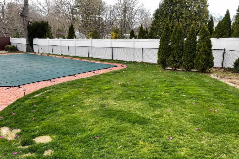 My neighbours have a huge privacy fence but still trashed MY garden for a gender reveal – I couldn’t even let my dog out | The Sun