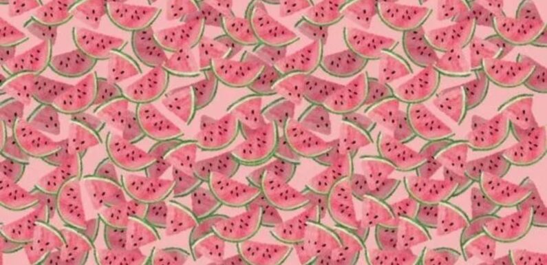 Only people with eagle eyes can spot the special watermelon in five seconds