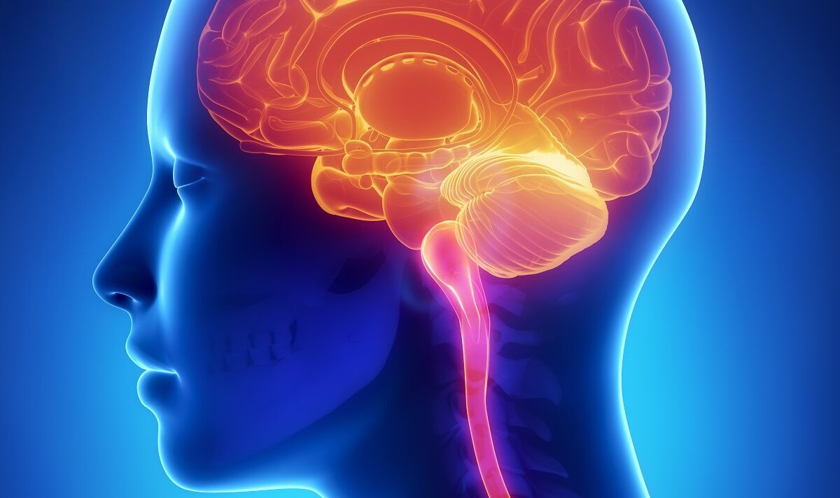 Parkinson’s patients given fresh hope as experts discover brain’s ‘pause button