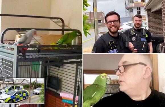 Police rush to report of screaming woman to find out it was a parrot