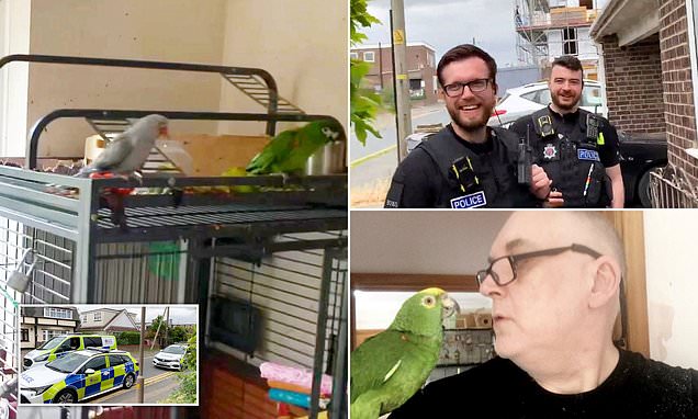 Police rush to report of screaming woman to find out it was a parrot