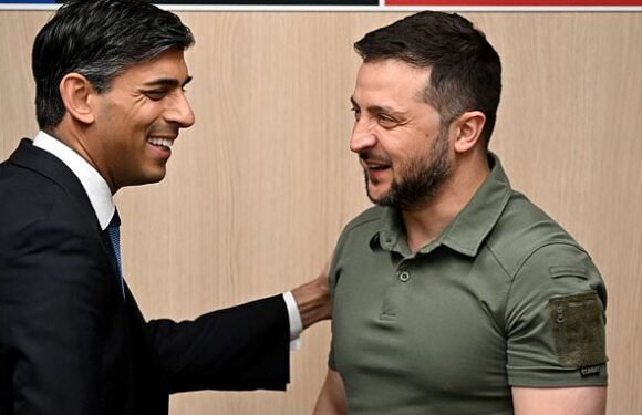 Rishi Sunak tells Zelensky that Ukraine 'belongs' in Nato at summit