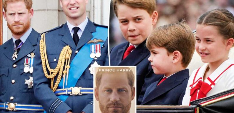 Royal family doesn’t ‘want another kid writing a book’ after ‘Spare’: royal expert