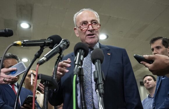 Senate majority leader Schumer pushes amendment to release UFO files