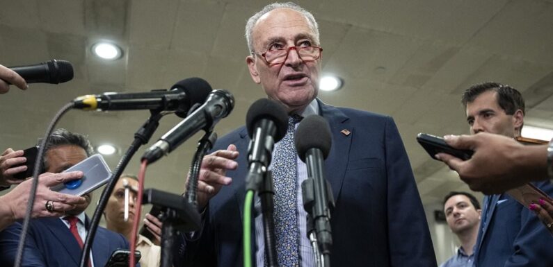 Senate majority leader Schumer pushes amendment to release UFO files