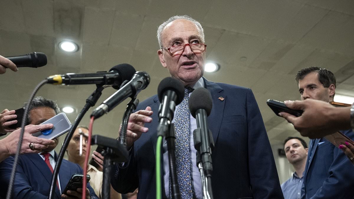 Senate majority leader Schumer pushes amendment to release UFO files