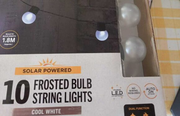 Shoppers are rushing to B&M to snap up a £3 bargain buy that'll instantly turn their garden into an outdoor oasis | The Sun