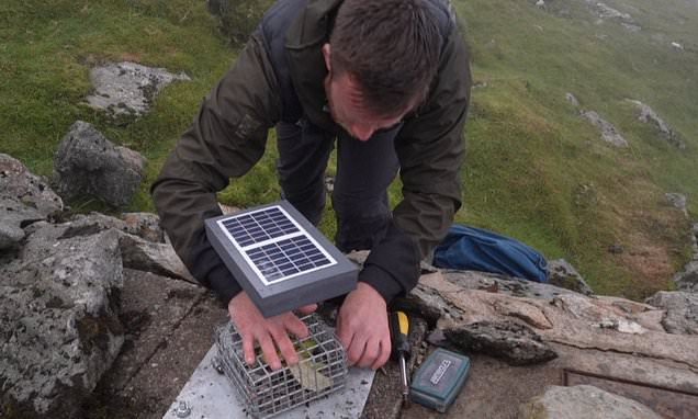 Snowdon sets up banana-cam to discourage fruit litterers