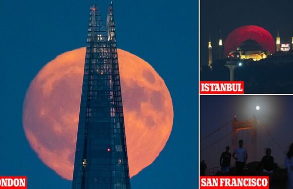 Stunning images show Buck supermoon light up skies around the world