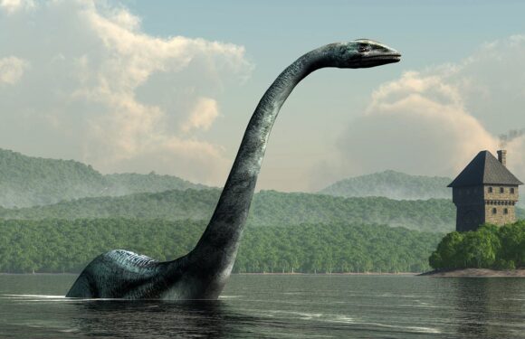 The Loch Ness Monster is NOT just a giant eel, study claims